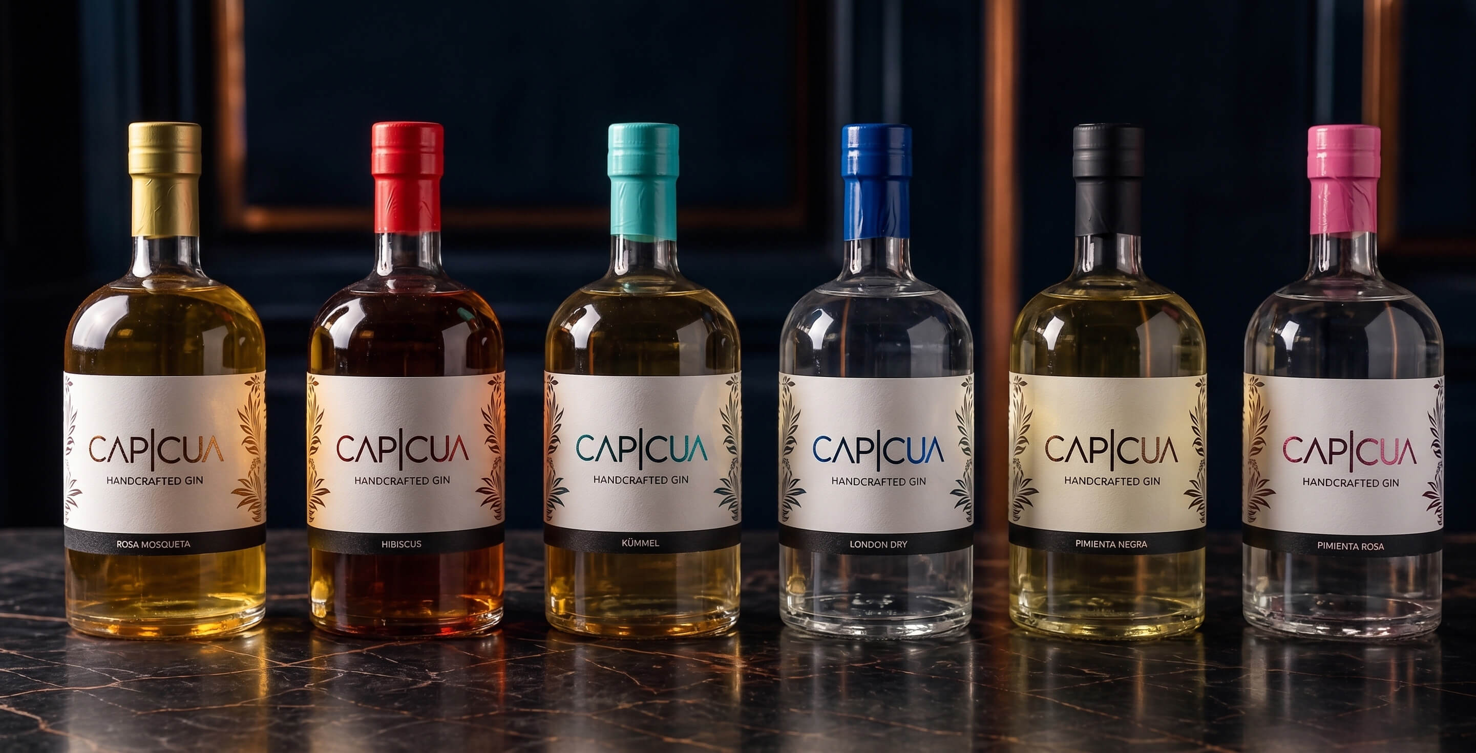 Las seis expresiones de gin CAPICÚA reunidas