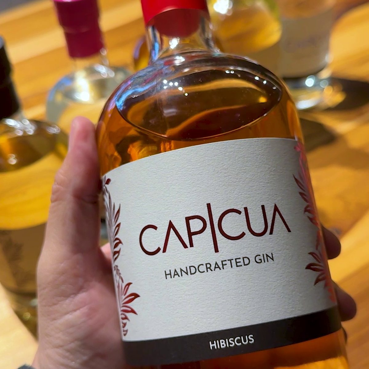 Botella CAPICÚA Hibiscus exhibida en una vinoteca